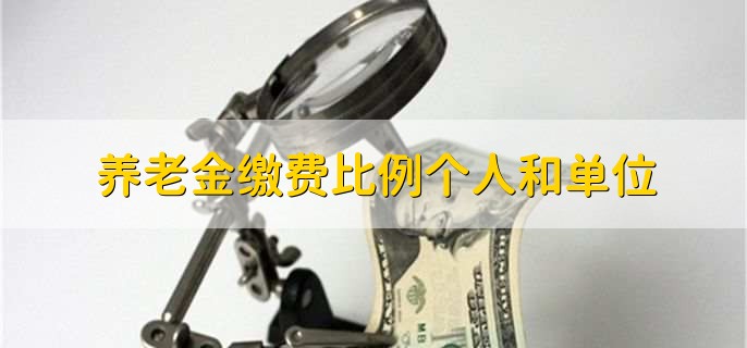 养老金缴费比例个人和单位
