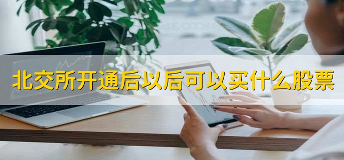 北交所开通后以后可以买什么股票