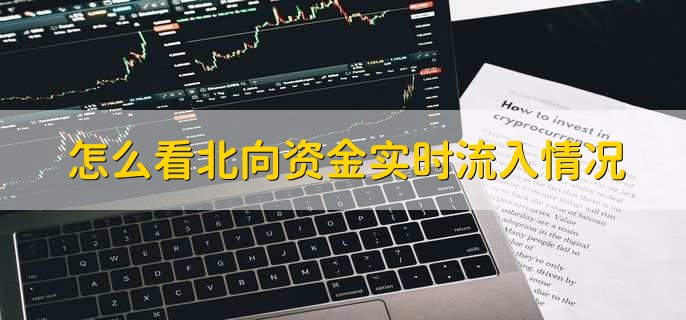 怎么看北向资金实时流入情况