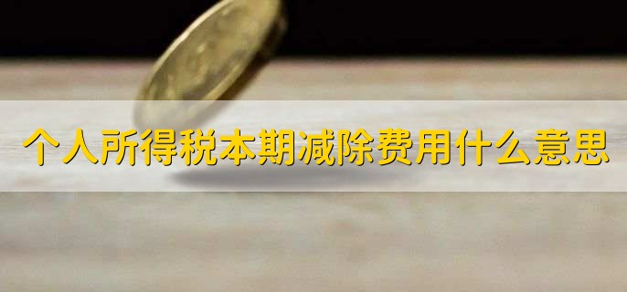 个人所得税本期减除费用什么意思
