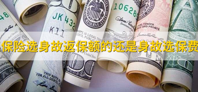 买保险选择身故返保额的好还是身故选保费的