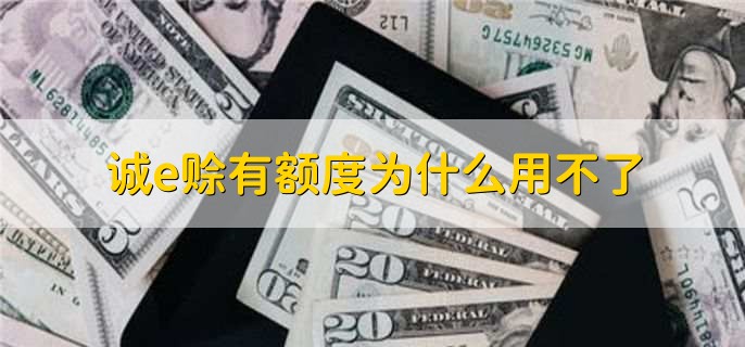 诚e赊有额度为什么用不了