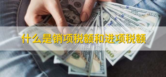 什么是销项税额和进项税额
