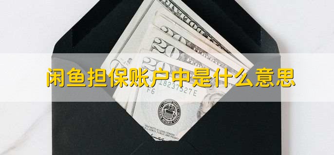 闲鱼担保账户中是什么意思