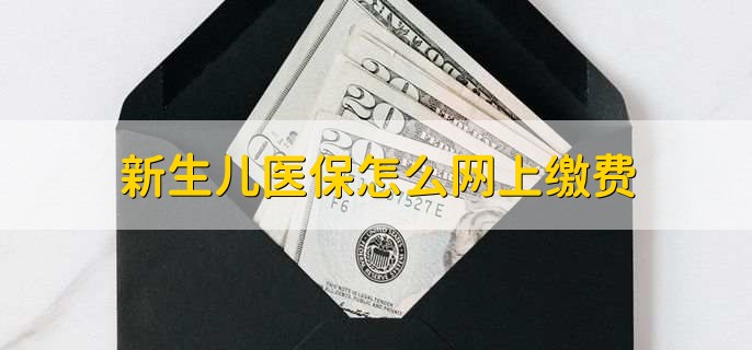 新生儿医保怎么网上缴费,有以下三种方法