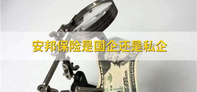安邦保险是国企还是私企