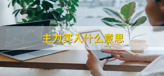 主力买入什么意思