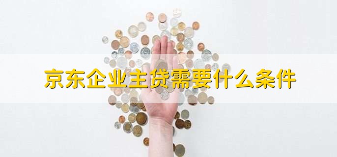 京东企业主贷需要什么条件