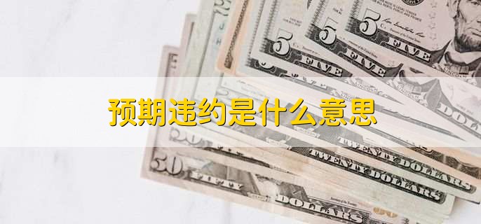 预期违约是什么意思