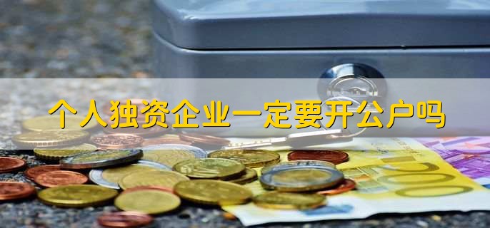 个人独资企业一定要开公户吗