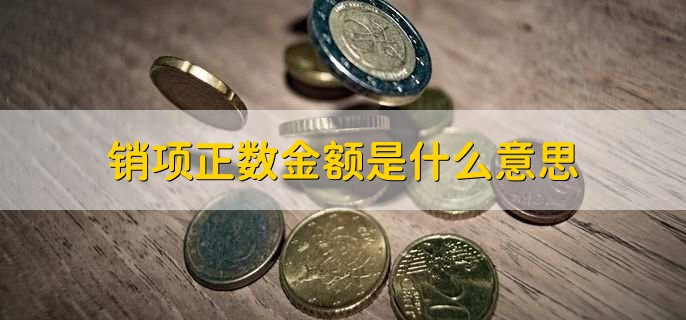 销项正数金额是什么意思