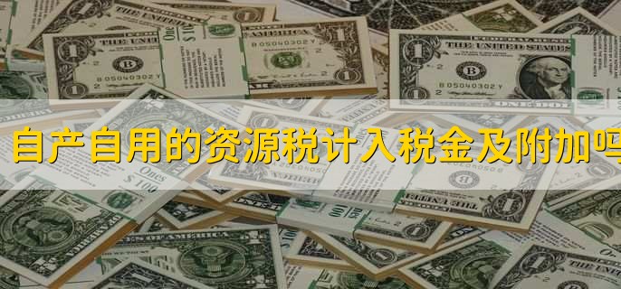 自产自用的资源税计入税金及附加吗