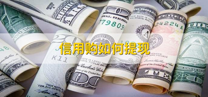 信用购如何提现