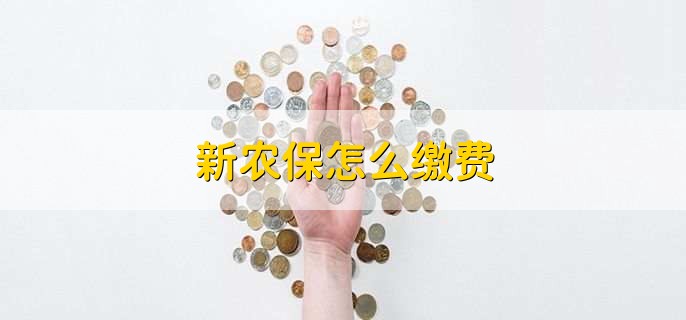 新农保怎么缴费