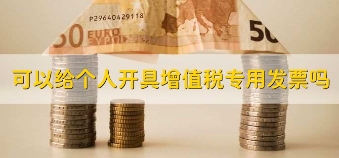 可以给个人开具增值税专用发票吗