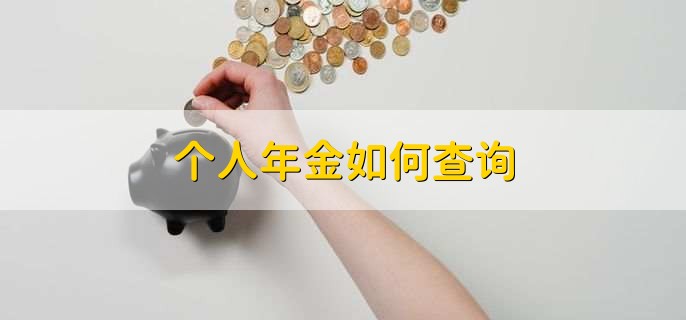 个人年金如何查询