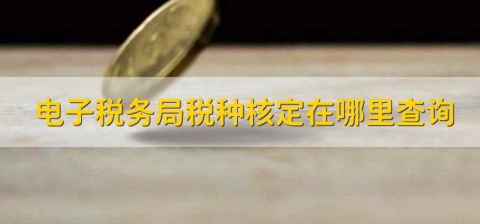 电子税务局税种核定在哪里查询