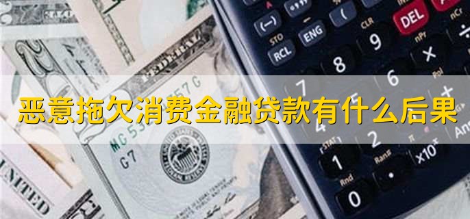 恶意拖欠消费金融贷款有什么后果