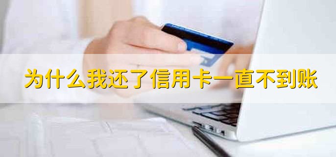 为什么我还了信用卡一直不到账,有以下三种情况