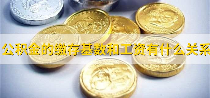 公积金的缴存基数和工资有什么关系