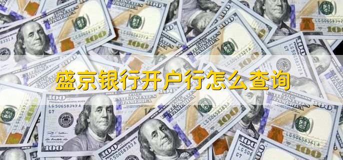 盛京银行开户行怎么查询