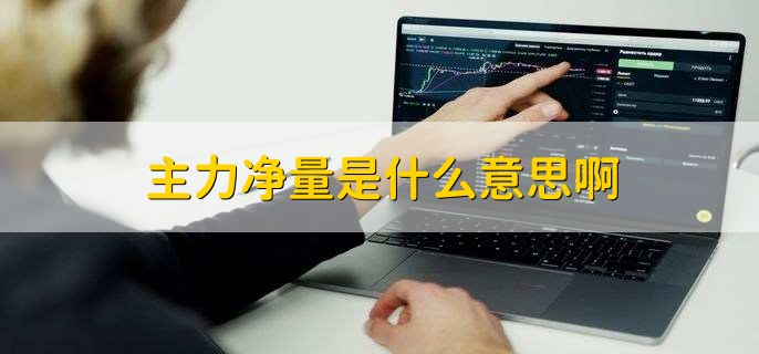 主力净量是什么意思啊