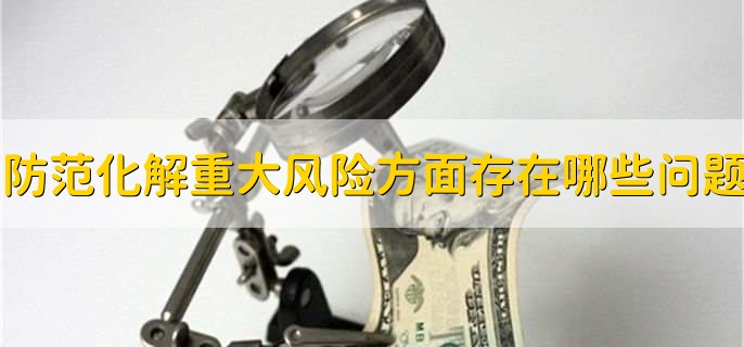 防范化解重大风险方面存在哪些问题