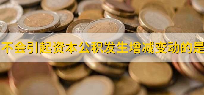 不会引起资本公积发生增减变动的是