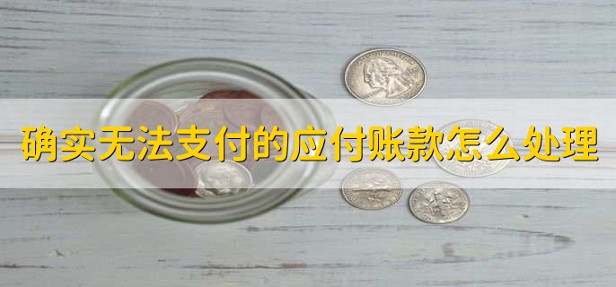 确实无法支付的应付账款怎么处理