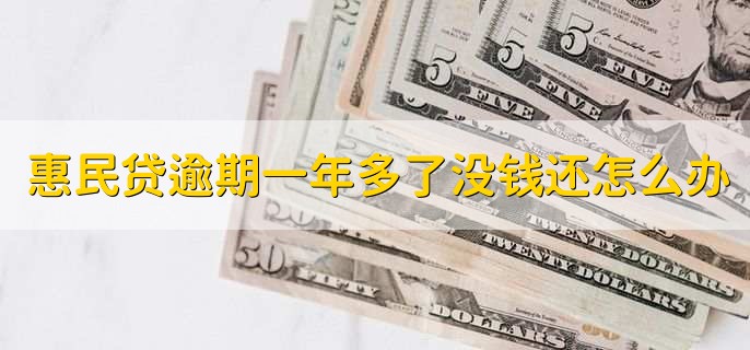 惠民贷逾期一年多了没钱还怎么办