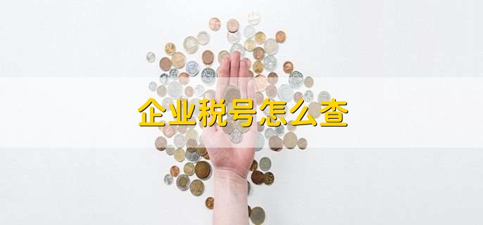 企业税号怎么查
