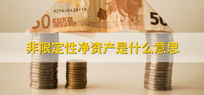 非限定性净资产是什么意思