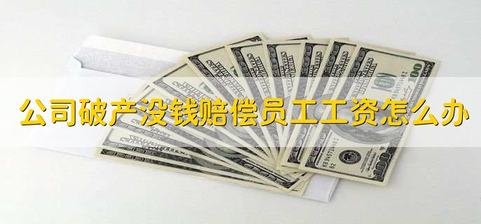 公司破产没钱赔偿员工工资怎么办