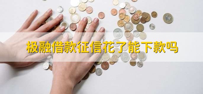 极融借款征信花了能下款吗