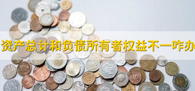 资产总计和负债所有者权益不一样怎么办