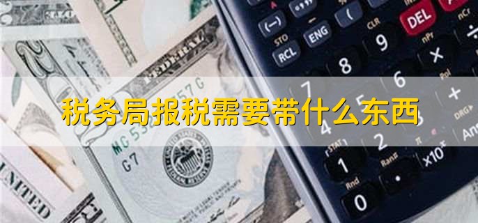 税务局报税需要带什么东西