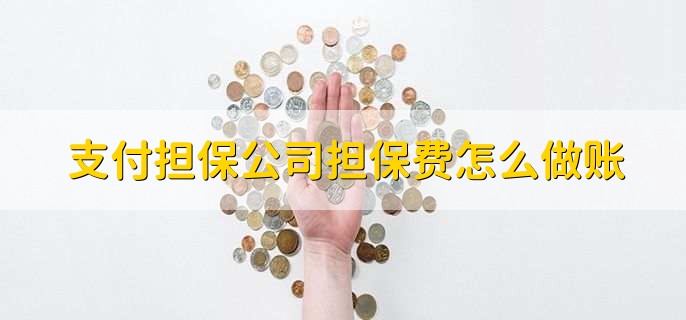 支付担保公司担保费怎么做账