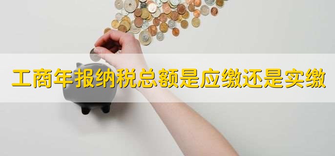 工商年报纳税总额是应缴还是实缴