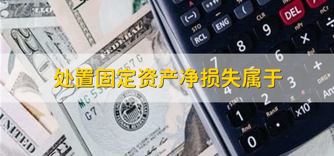 处置固定资产净损失属于,企业利润表的一笔费用