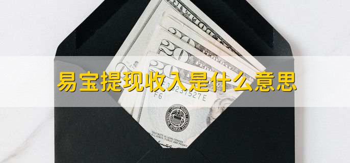 易宝提现收入是什么意思