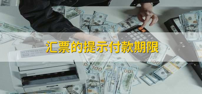 汇票的提示付款期限