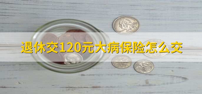 退休交120元大病保险怎么交