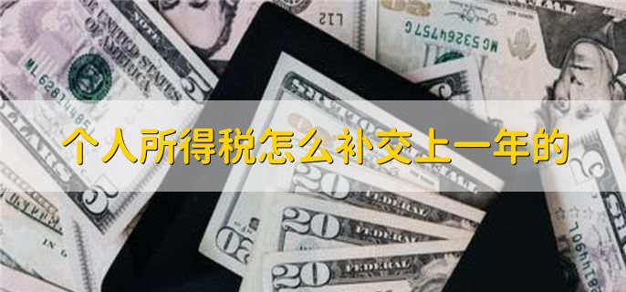 个人所得税怎么补交上一年的