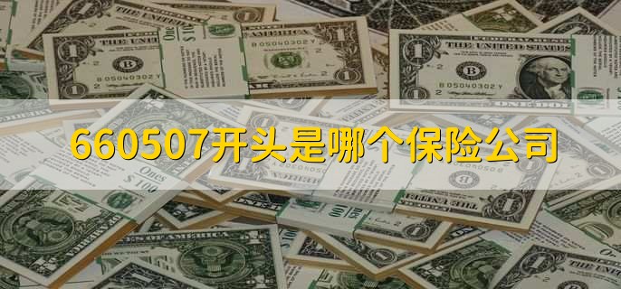 660507开头是哪个保险公司