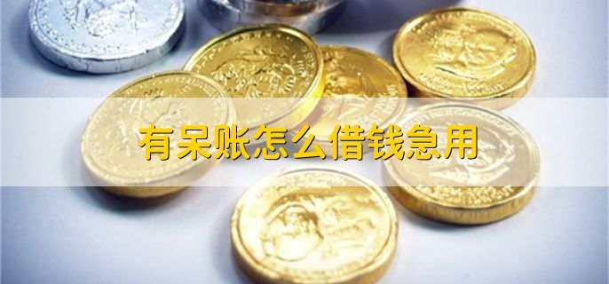 有呆账怎么借钱急用
