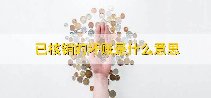 已核销的坏账是什么意思