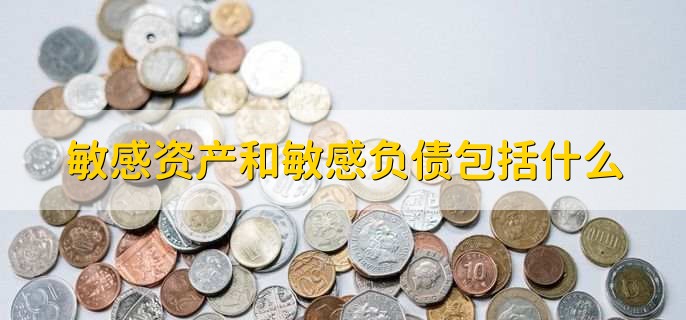敏感资产和敏感负债包括什么