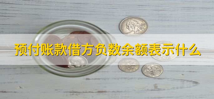 预付账款借方负数余额表示什么