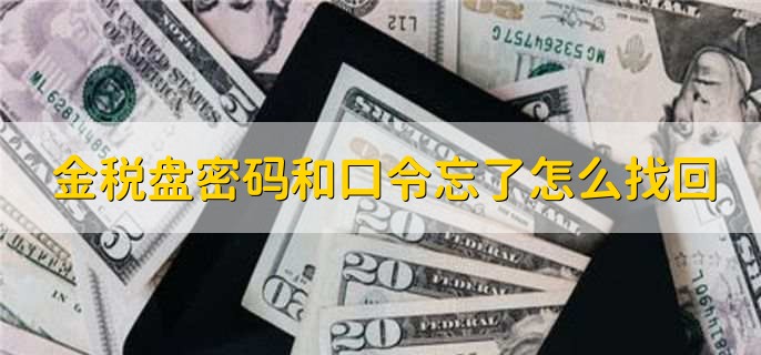 金税盘密码和口令忘了怎么找回