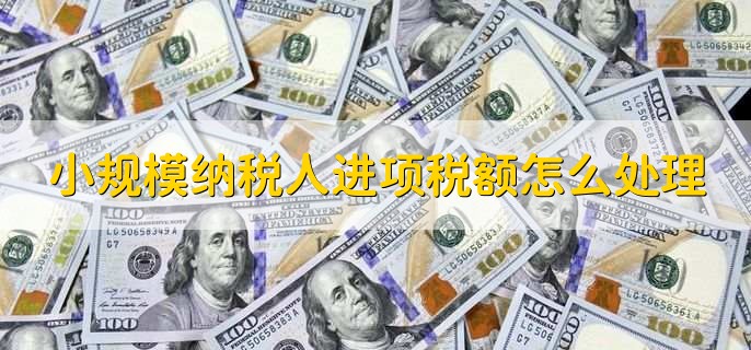 小规模纳税人进项税额怎么处理